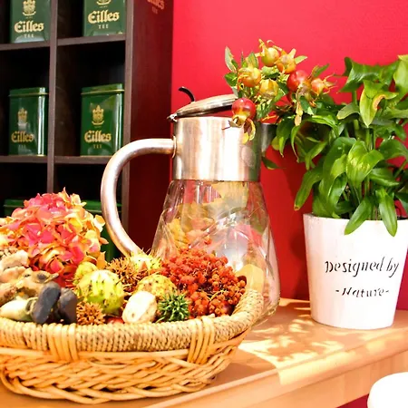 Ξενοδοχείο Der Insulaner - & Restaurant Malchow (Mecklenburg-Vorpommern)